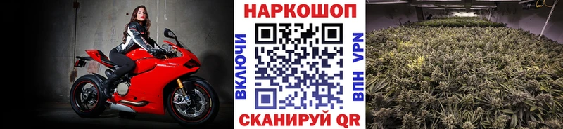 Купить наркотики сайты Куровское Кокаин  NBOMe  Меф мяу мяу  ГАШИШ  Бошки Шишки 