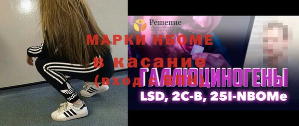 прущие грибы Коряжма