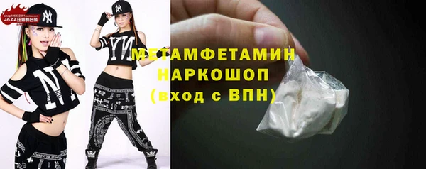 прущие грибы Коряжма