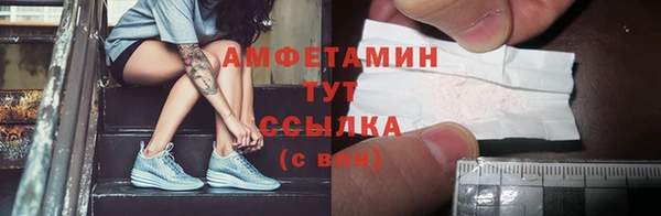 прущие грибы Коряжма