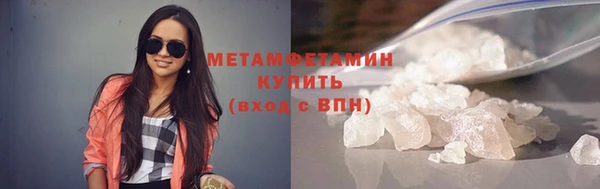 прущие грибы Коряжма