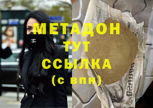 прущие грибы Коряжма