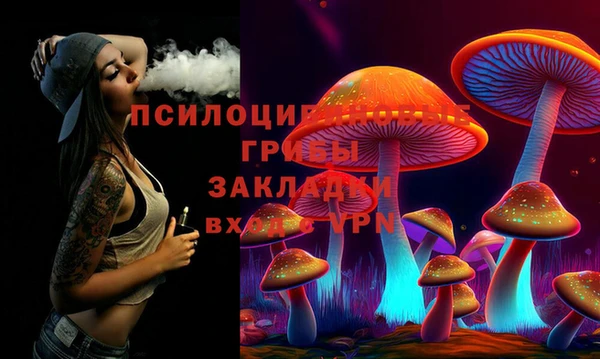 PSILOCYBIN Кулебаки