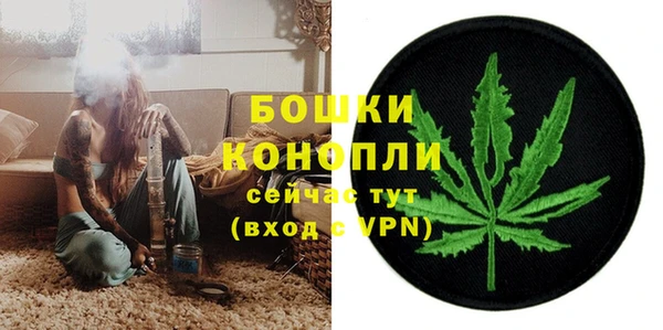 PSILOCYBIN Кулебаки