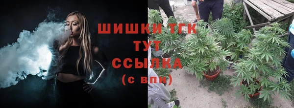 крисы Костерёво