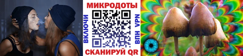 хочу наркоту  Куровское  Псилоцибиновые грибы мицелий 